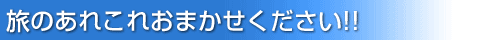 ̂ꂱꂨ܂