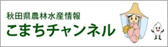 ܂`l
